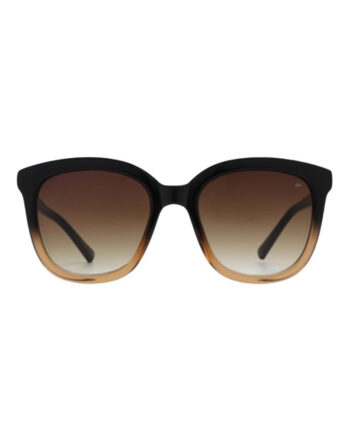 Kjærbede Solbriller Billy Black Brown Transperent