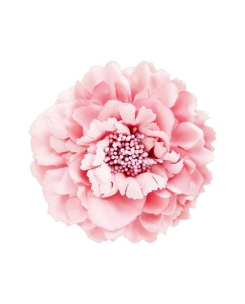 Black Colour Broche Julita Dust Rose