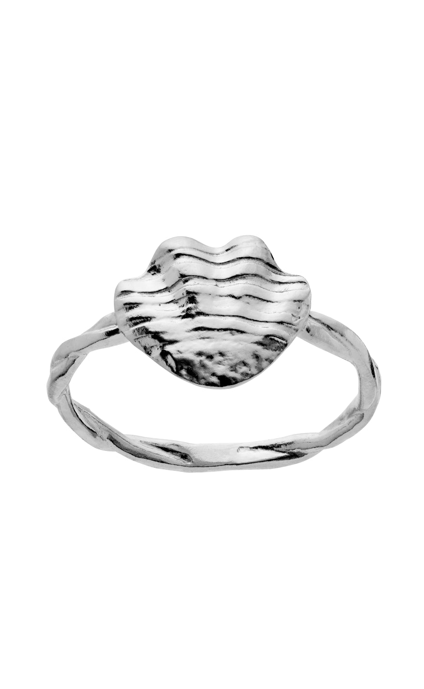 Maanesten Ring Dwyn Silver Colour