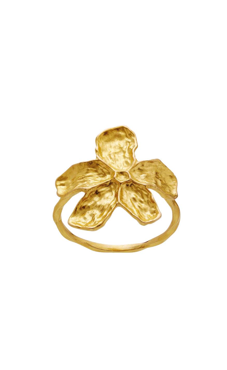 Maanesten Ring Fraisa Gold Colour