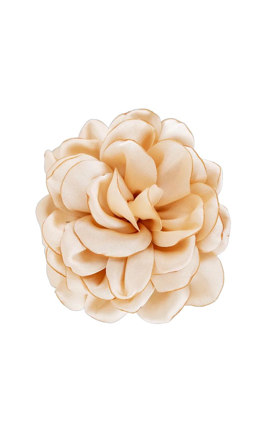 Black Colour Broche Fiora Nude