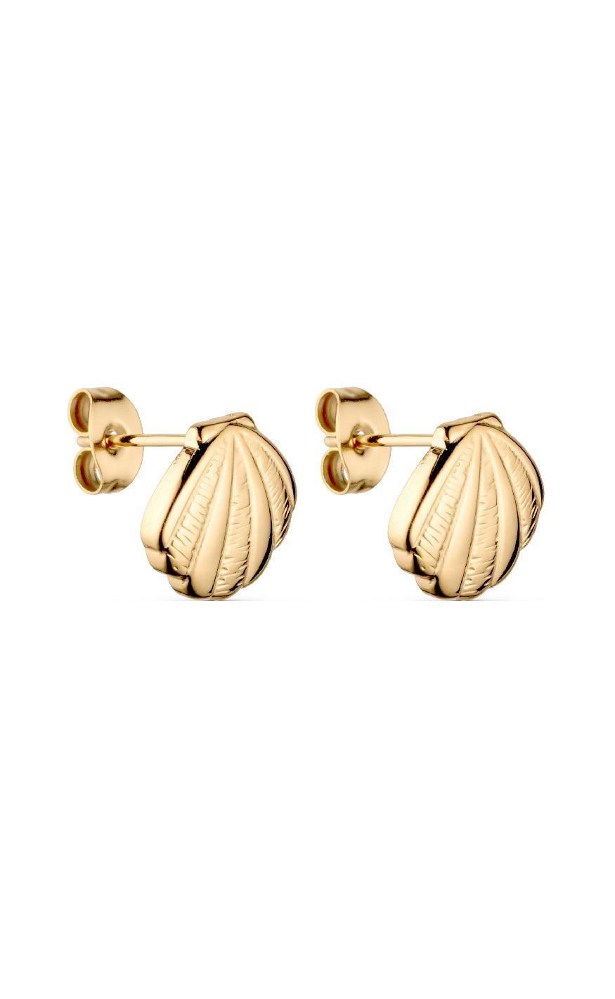 Smykkeli Copenhagen øreringe Shell Gold Colour