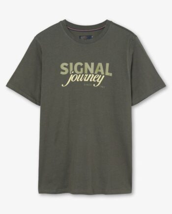 Dizzysi Logo Tee