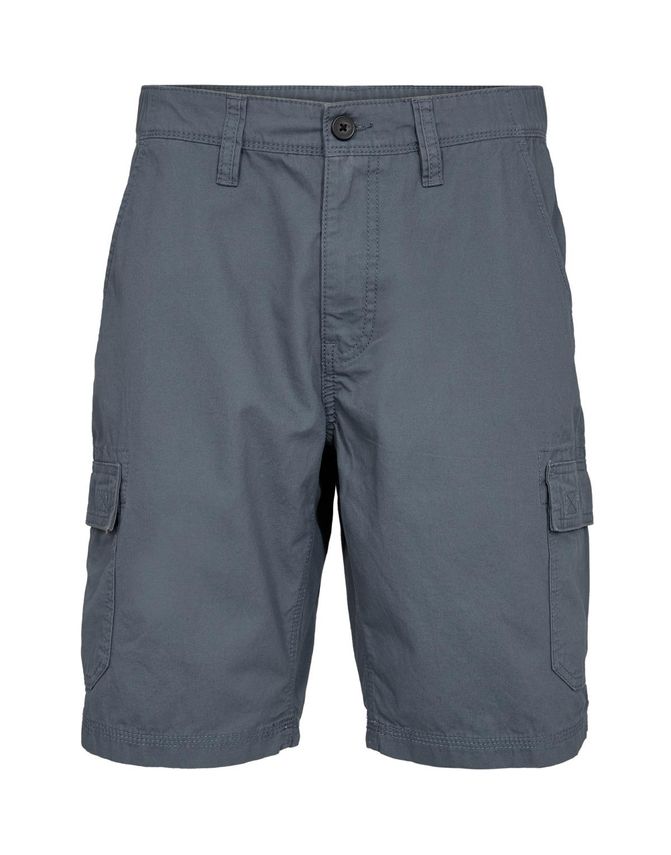 Mens Shorts Regular Fit