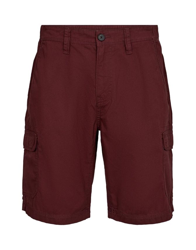 Mens Shorts Regular Fit