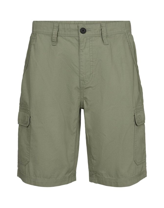 Mens Shorts Regular Fit