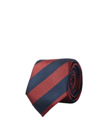 Slhsteve Silk Tie