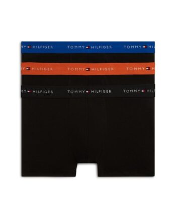 3p Trunk Wb