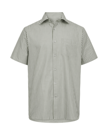 Shirt     Modern Fit