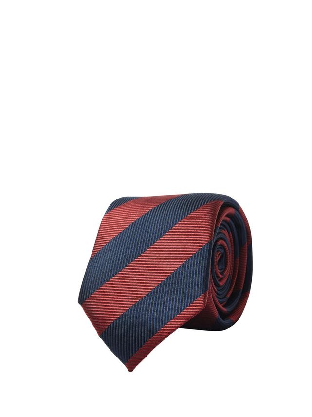 Slhsteve Silk Tie