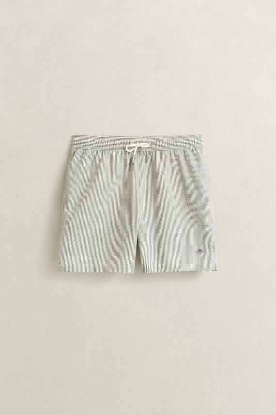 Striped Seersucker Swim Shorts