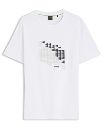 Ts Network Flag 10273414 01