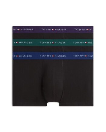 3p Trunk Wb