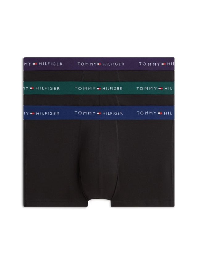 3p Trunk Wb