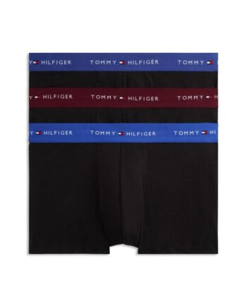 3p Trunk Wb