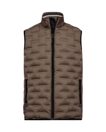 Waistcoat Regular Fit